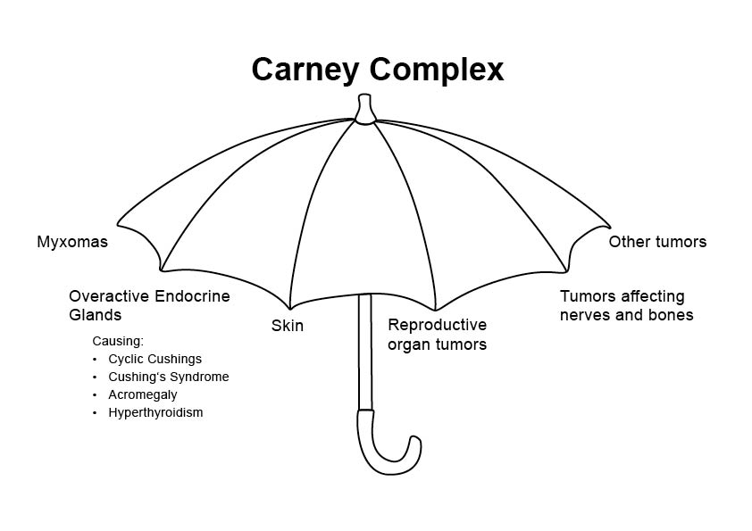 carney syndrome tumors